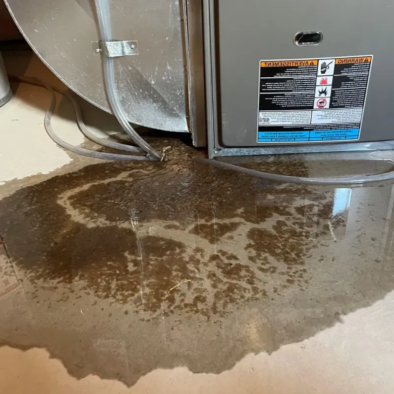 Pipe Burst and Leak Restoration in Williams County, ND