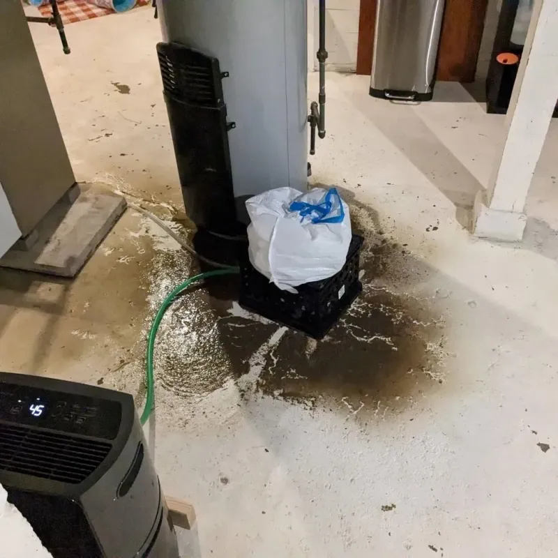 Sewage Backup Cleanup Service in Williams County, ND